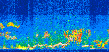 /calipso-imagery/data/BROWSE/production/V5-00/2017-08-09/2017-08-09_03-43-07_V5.00_3_thmb.png image missing