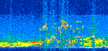 /calipso-imagery/data/BROWSE/production/V5-00/2017-08-09/2017-08-09_11-57-33_V5.00_2_thmb.png image missing