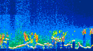 /calipso-imagery/data/BROWSE/production/V5-00/2017-08-09/2017-08-09_11-57-33_V5.00_4_thmb.png image missing