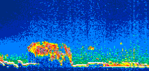 /calipso-imagery/data/BROWSE/production/V5-00/2017-08-09/2017-08-09_13-36-23_V5.00_1_thmb.png image missing