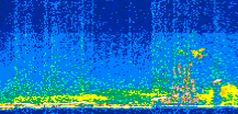 /calipso-imagery/data/BROWSE/production/V5-00/2017-08-09/2017-08-09_13-36-23_V5.00_2_thmb.png image missing