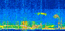 /calipso-imagery/data/BROWSE/production/V5-00/2017-08-09/2017-08-09_16-54-08_V5.00_2_thmb.png image missing