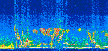 /calipso-imagery/data/BROWSE/production/V5-00/2017-08-09/2017-08-09_18-33-04_V5.00_3_thmb.png image missing