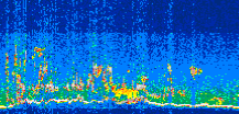 /calipso-imagery/data/BROWSE/production/V5-00/2017-08-09/2017-08-09_20-11-54_V5.00_3_thmb.png image missing