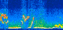 /calipso-imagery/data/BROWSE/production/V5-00/2017-08-10/2017-08-10_01-08-35_V5.00_3_thmb.png image missing