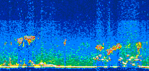 /calipso-imagery/data/BROWSE/production/V5-00/2017-08-10/2017-08-10_15-58-32_V5.00_3_thmb.png image missing