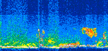/calipso-imagery/data/BROWSE/production/V5-00/2017-08-10/2017-08-10_20-55-07_V5.00_3_thmb.png image missing