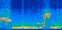 /calipso-imagery/data/BROWSE/production/V5-00/2017-08-10/2017-08-10_22-34-02_V5.00_2_thmb.png image missing