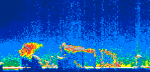 /calipso-imagery/data/BROWSE/production/V5-00/2017-08-16/2017-08-16_03-48-49_V5.00_1_thmb.png image missing