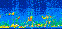 /calipso-imagery/data/BROWSE/production/V5-00/2017-08-16/2017-08-16_03-48-49_V5.00_3_thmb.png image missing