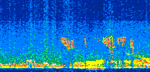 /calipso-imagery/data/BROWSE/production/V5-00/2017-08-16/2017-08-16_08-45-25_V5.00_2_thmb.png image missing