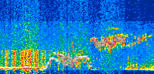 /calipso-imagery/data/BROWSE/production/V5-00/2017-08-16/2017-08-16_18-38-41_V5.00_2_thmb.png image missing