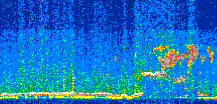 /calipso-imagery/data/BROWSE/production/V5-00/2017-08-16/2017-08-16_20-17-36_V5.00_2_thmb.png image missing