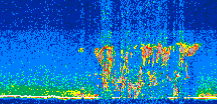 /calipso-imagery/data/BROWSE/production/V5-00/2017-08-18/2017-08-18_05-15-11_V5.00_2_thmb.png image missing