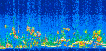 /calipso-imagery/data/BROWSE/production/V5-00/2017-08-18/2017-08-18_05-15-11_V5.00_3_thmb.png image missing