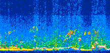 /calipso-imagery/data/BROWSE/production/V5-00/2017-08-19/2017-08-19_01-01-43_V5.00_3_thmb.png image missing
