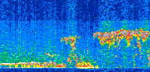 /calipso-imagery/data/BROWSE/production/V5-00/2017-08-19/2017-08-19_07-37-14_V5.00_2_thmb.png image missing