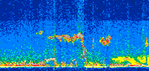 /calipso-imagery/data/BROWSE/production/V5-00/2017-08-19/2017-08-19_09-16-04_V5.00_2_thmb.png image missing