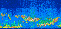 /calipso-imagery/data/BROWSE/production/V5-00/2017-08-23/2017-08-23_03-54-21_V5.00_3_thmb.png image missing