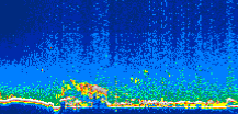 /calipso-imagery/data/BROWSE/production/V5-00/2017-08-23/2017-08-23_05-33-17_V5.00_1_thmb.png image missing