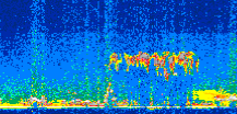 /calipso-imagery/data/BROWSE/production/V5-00/2017-08-23/2017-08-23_08-51-02_V5.00_2_thmb.png image missing