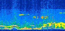 /calipso-imagery/data/BROWSE/production/V5-00/2017-08-23/2017-08-23_10-29-52_V5.00_2_thmb.png image missing