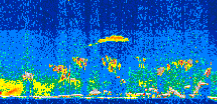/calipso-imagery/data/BROWSE/production/V5-00/2017-08-23/2017-08-23_13-47-38_V5.00_3_thmb.png image missing
