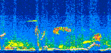 /calipso-imagery/data/BROWSE/production/V5-00/2017-08-23/2017-08-23_15-26-33_V5.00_3_thmb.png image missing