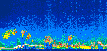 /calipso-imagery/data/BROWSE/production/V5-00/2017-08-24/2017-08-24_19-27-27_V5.00_1_thmb.png image missing
