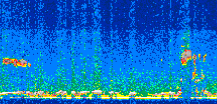 /calipso-imagery/data/BROWSE/production/V5-00/2017-08-24/2017-08-24_21-06-22_V5.00_2_thmb.png image missing