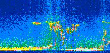 /calipso-imagery/data/BROWSE/production/V5-00/2017-09-04/2017-09-04_02-39-04_V5.00_2_thmb.png image missing