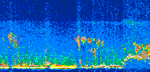 /calipso-imagery/data/BROWSE/production/V5-00/2017-09-21/2017-09-21_01-41-31_V5.00_3_thmb.png image missing