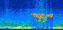 /calipso-imagery/data/BROWSE/production/V5-00/2017-09-21/2017-09-21_03-20-21_V5.00_2_thmb.png image missing