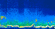 /calipso-imagery/data/BROWSE/production/V5-00/2017-09-21/2017-09-21_09-55-52_V5.00_4_thmb.png image missing