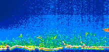 /calipso-imagery/data/BROWSE/production/V5-00/2017-09-21/2017-09-21_23-06-54_V5.00_1_thmb.png image missing