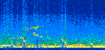/calipso-imagery/data/BROWSE/production/V5-00/2017-09-26/2017-09-26_00-20-32_V5.00_2_thmb.png image missing
