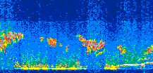/calipso-imagery/data/BROWSE/production/V5-00/2017-09-26/2017-09-26_01-59-22_V5.00_3_thmb.png image missing