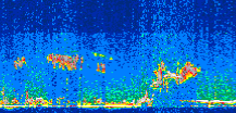 /calipso-imagery/data/BROWSE/production/V5-00/2017-09-28/2017-09-28_00-07-53_V5.00_3_thmb.png image missing