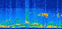 /calipso-imagery/data/BROWSE/production/V5-00/2017-09-28/2017-09-28_05-04-29_V5.00_2_thmb.png image missing