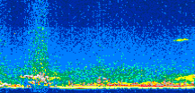 /calipso-imagery/data/BROWSE/production/V5-00/2017-09-28/2017-09-28_10-01-10_V5.00_2_thmb.png image missing