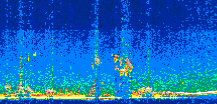/calipso-imagery/data/BROWSE/production/V5-00/2017-09-29/2017-09-29_00-51-02_V5.00_3_thmb.png image missing