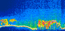/calipso-imagery/data/BROWSE/production/V5-00/2017-09-29/2017-09-29_12-23-08_V5.00_1_thmb.png image missing