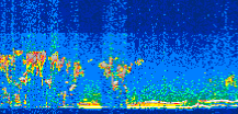 /calipso-imagery/data/BROWSE/production/V5-00/2017-09-29/2017-09-29_17-19-49_V5.00_3_thmb.png image missing