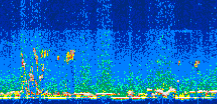 /calipso-imagery/data/BROWSE/production/V5-00/2017-09-29/2017-09-29_22-16-25_V5.00_3_thmb.png image missing