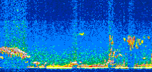 /calipso-imagery/data/BROWSE/production/V5-00/2017-09-30/2017-09-30_08-09-41_V5.00_2_thmb.png image missing