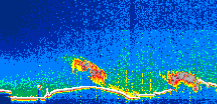 /calipso-imagery/data/BROWSE/production/V5-00/2017-10-06/2017-10-06_07-31-45_V5.00_1_thmb.png image missing