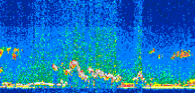 /calipso-imagery/data/BROWSE/production/V5-00/2017-10-06/2017-10-06_09-10-40_V5.00_2_thmb.png image missing