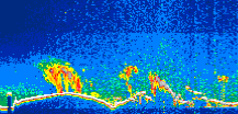 /calipso-imagery/data/BROWSE/production/V5-00/2017-10-06/2017-10-06_10-49-31_V5.00_1_thmb.png image missing