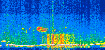 /calipso-imagery/data/BROWSE/production/V5-00/2017-10-06/2017-10-06_14-07-16_V5.00_2_thmb.png image missing