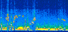 /calipso-imagery/data/BROWSE/production/V5-00/2017-10-06/2017-10-06_15-46-11_V5.00_3_thmb.png image missing
